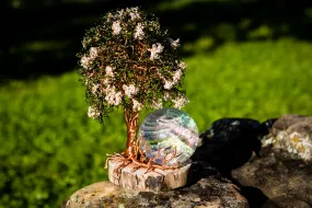 Crepe Myrtle Tree Of Life - TREE ONLY